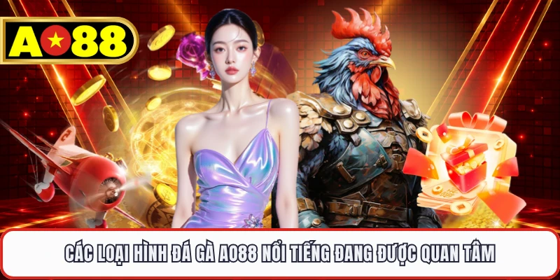 Các loại hình đá gà AO88 nổi tiếng đang được quan tâm 