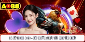 Đá Gà Thomo AO88 - Đấu Trường Trực Tiếp Kịch Tính Nhất