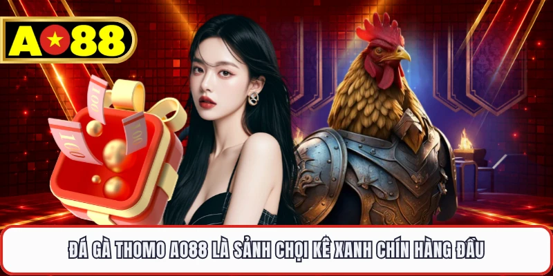 Đá gà Thomo AO88 là sảnh chọi kê xanh chín hàng đầu
