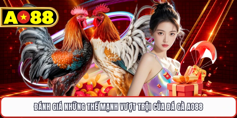 Đánh giá những thế mạnh vượt trội của đá gà AO88 